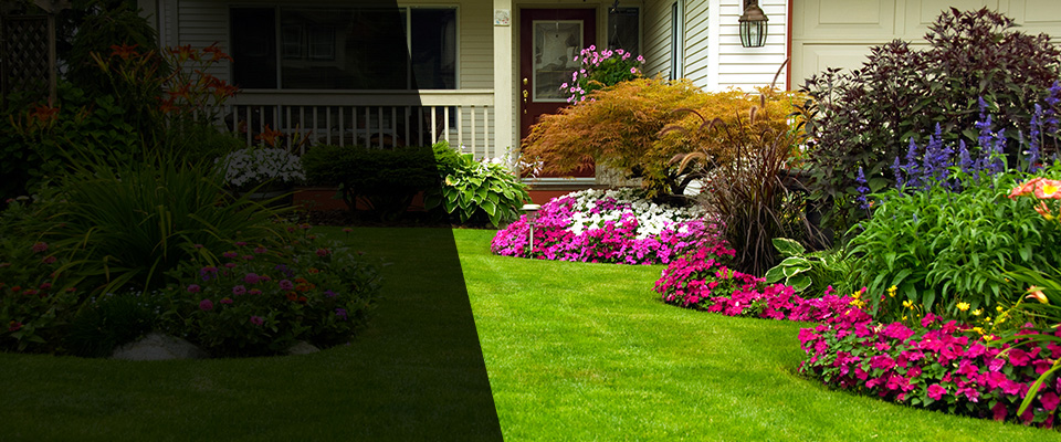 Harrogate Landscapers