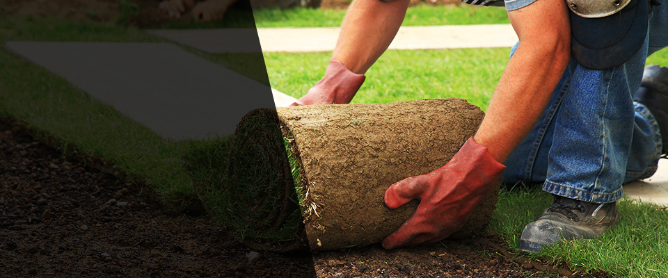 Harrogate Landscapers
